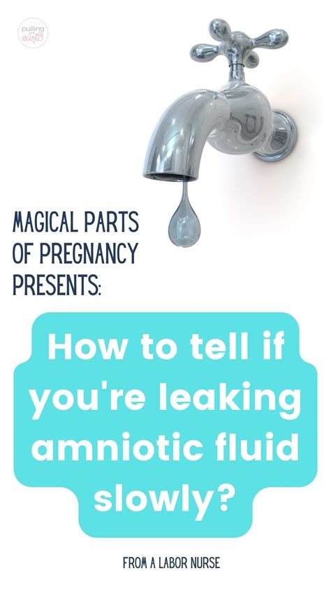 leaking fluid pregnancy|Signs of Leaking Amniotic Fluid vs. Discharge (& What to Do)